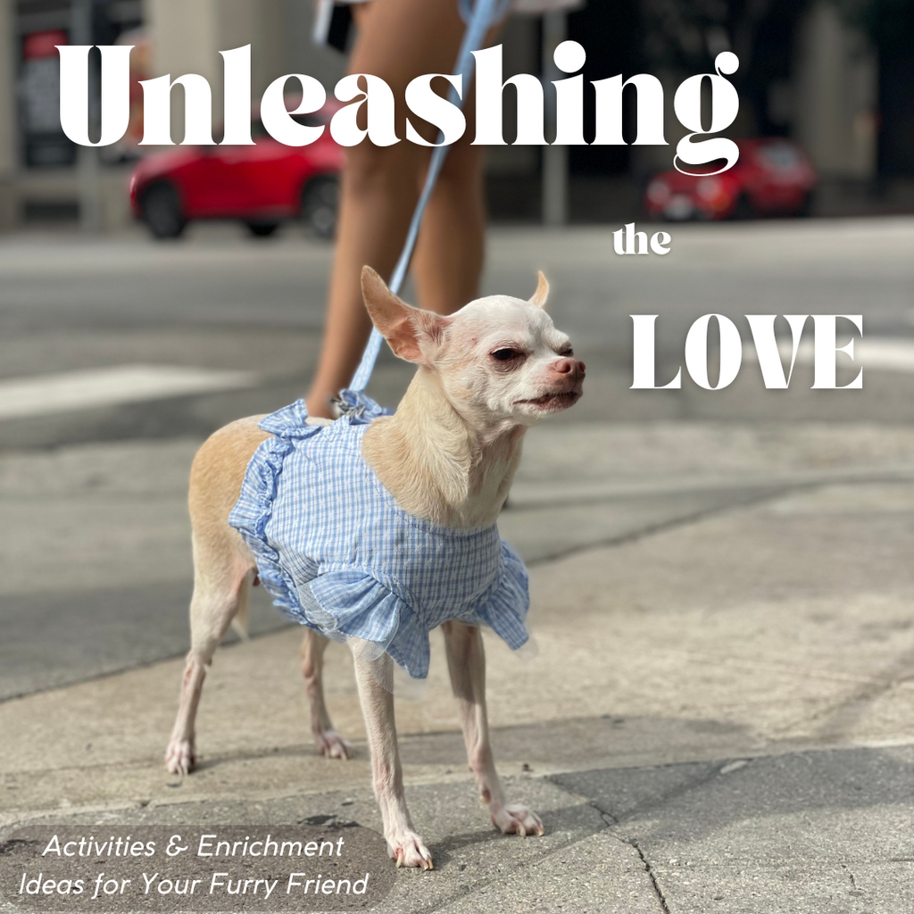 Unleashing the Love: Fun Activities & Enrichment Ideas for Your Furry Family Member