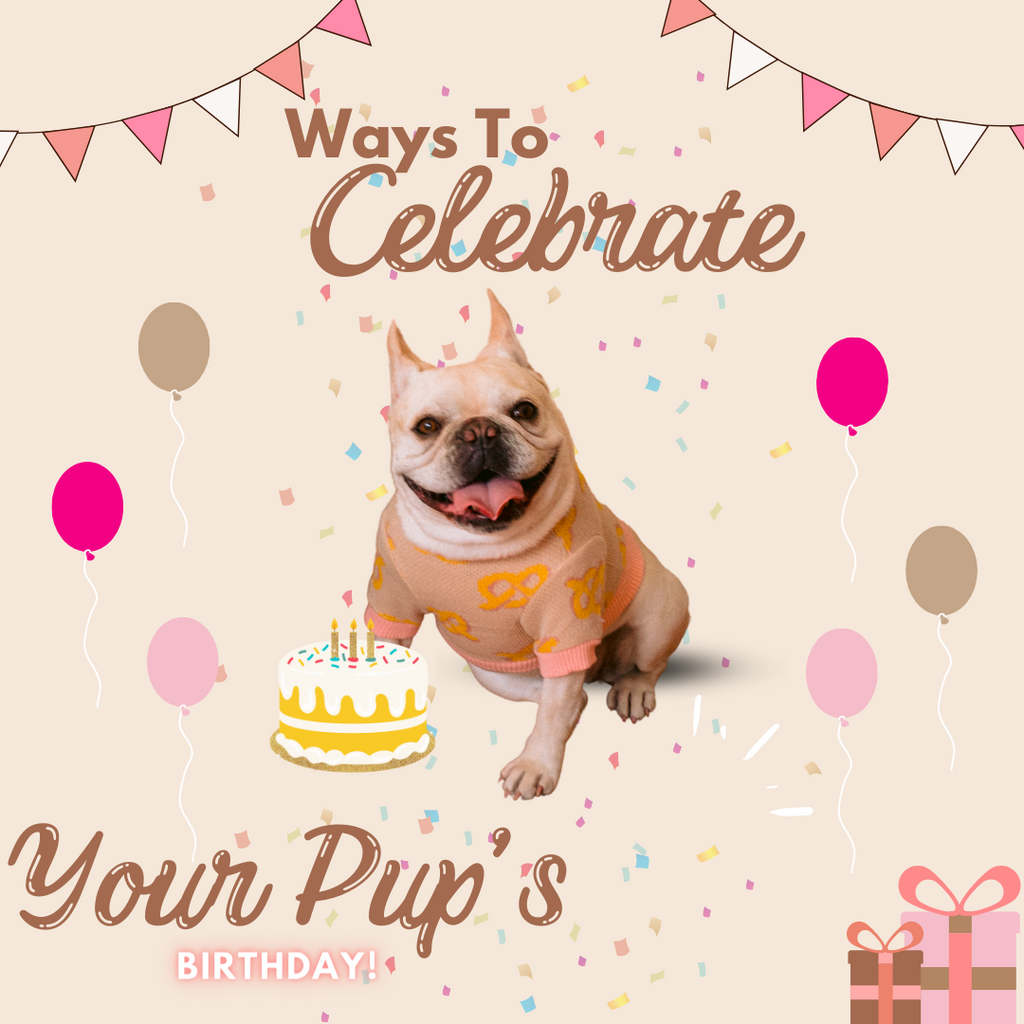 HOW TO CELBRATE YOUR PUPS BDAY!