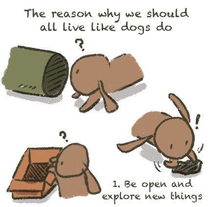 The reason why we should all live like dogs do