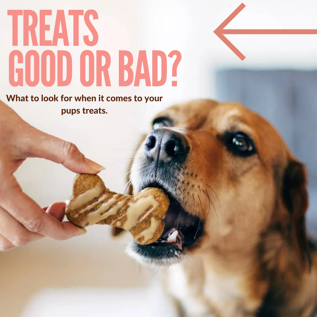 What to Look for when getting your furry friend treats!