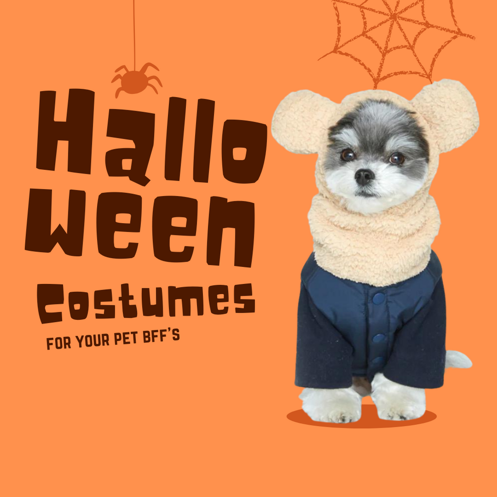 Super easy & cute dog costumes for Halloween with these Miminko staples!