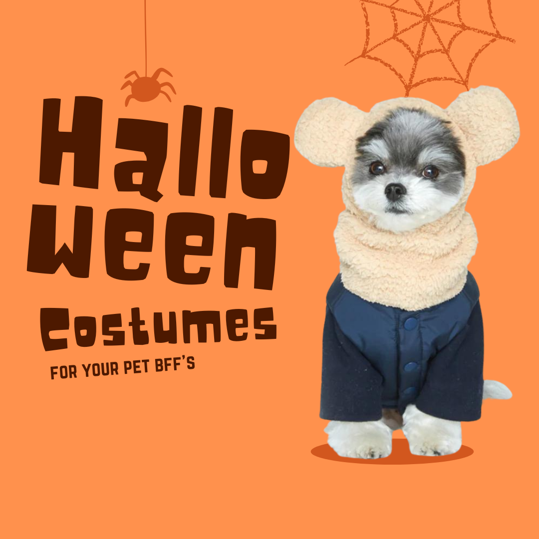 super-easy-cute-dog-costumes-for-halloween-with-these-miminko-staple