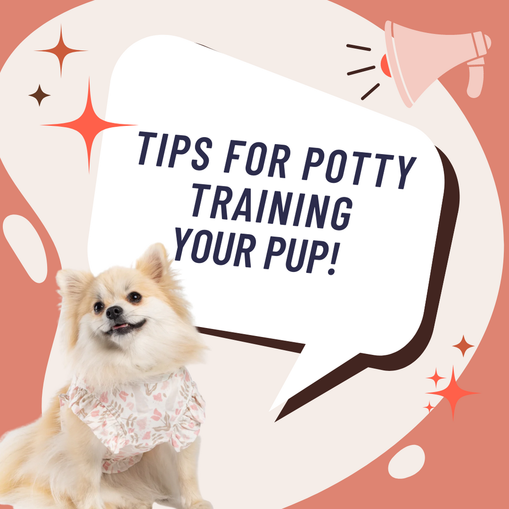 Tips On Potty Training Your Pup!