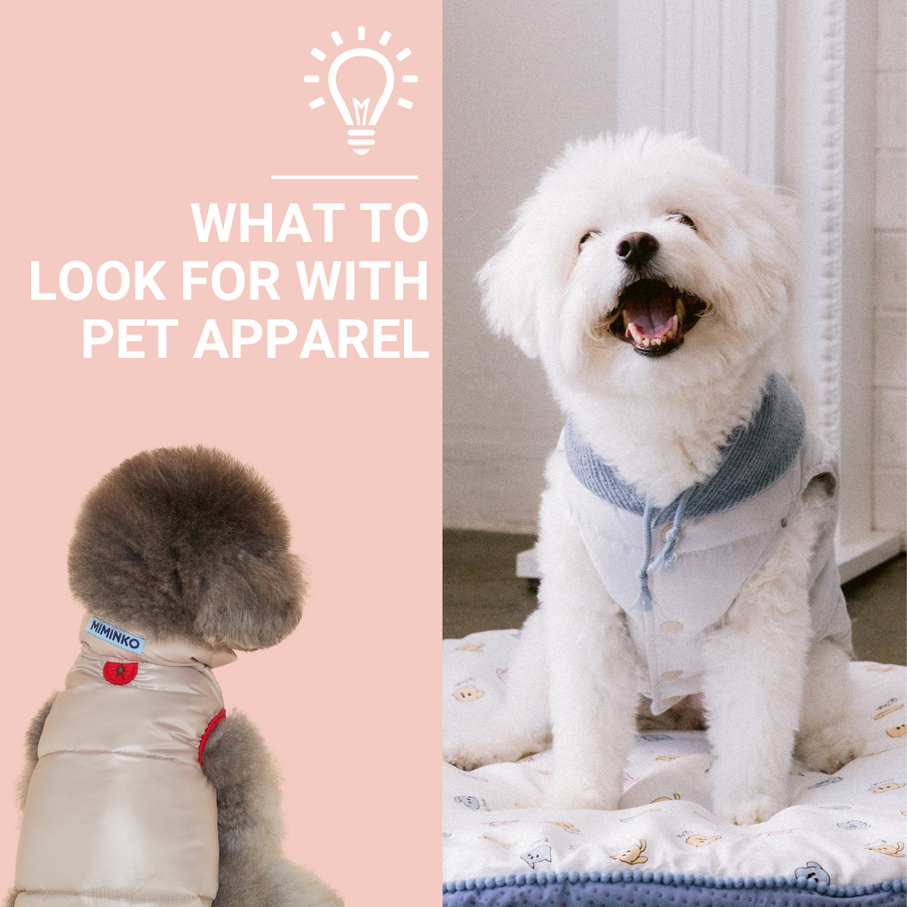 5 Key Essentials To Know For Buying Pet Apparel.