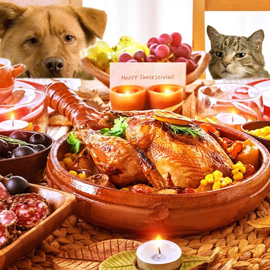 Making a yummy & safe Christmas feast for your furry friend!