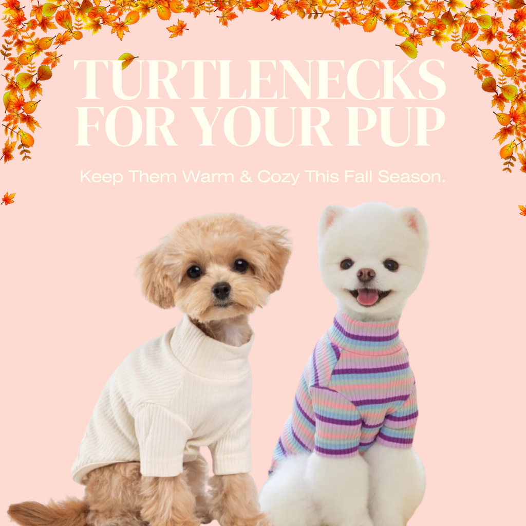 Turtlenecks Your Pup Needs To Be Wearing This Fall