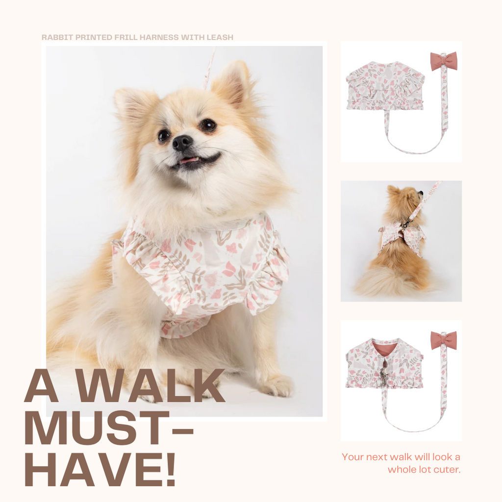 The Must-Have Item For Your Dog’s Next Walk!