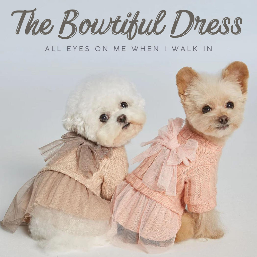 Dresses For Your Pooch: Introducing The Bowtiful Dress