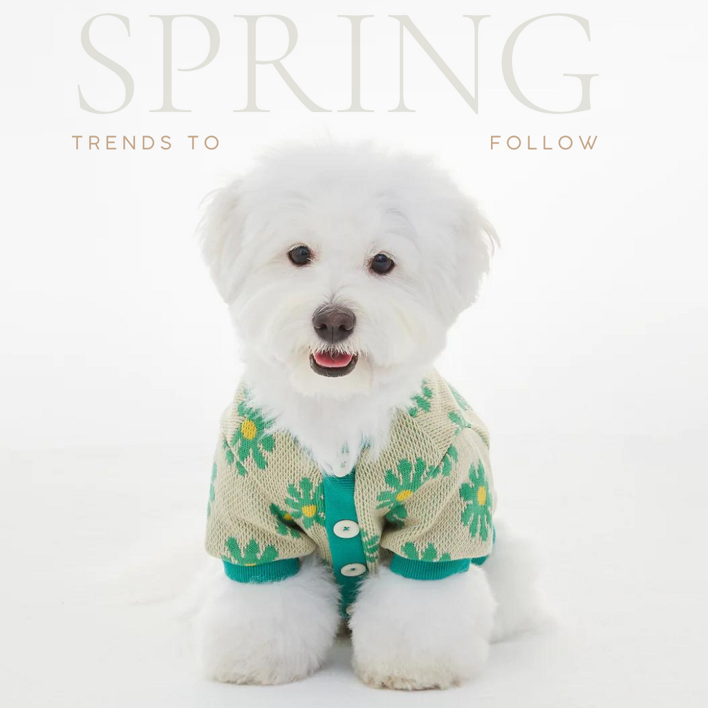 Spring Has Sprung: Must-Have Pet Fashion Trends for the New Season