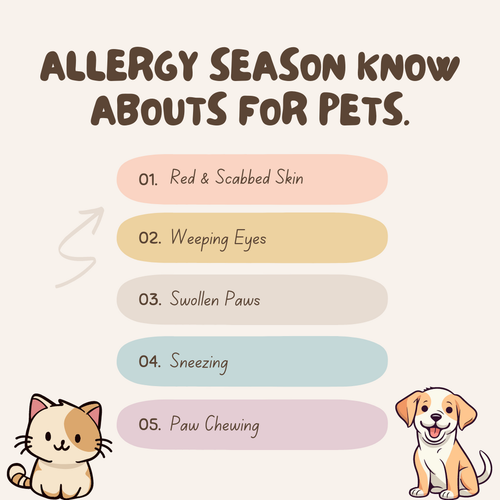 Its Allergy Season Be Aware What You Pet Is Facing.