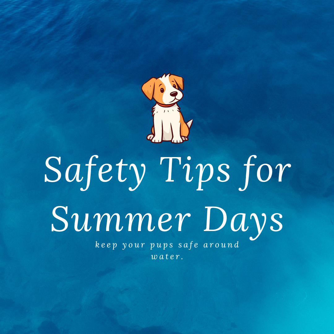 Make a Splash Safely: Dog Water Safety Tips for Summer Fun with Mimiko!