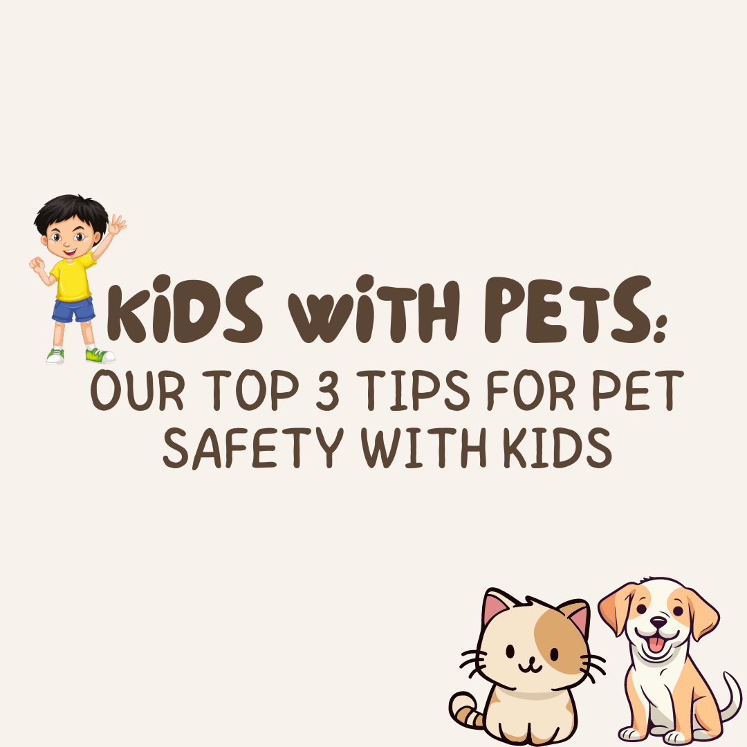 Kids With Pets: Our Top 3 Tips For Pet Safety With Kids