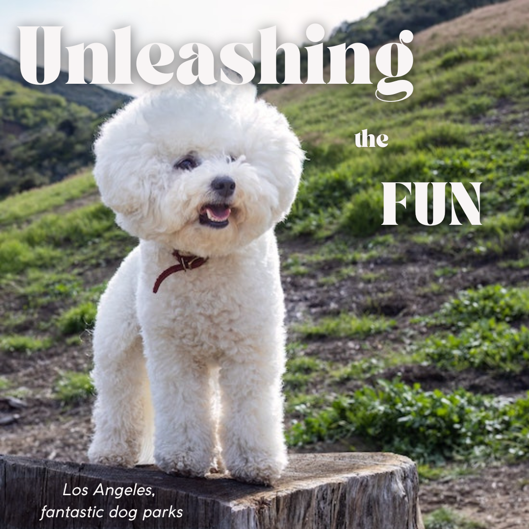 Los Angeles Dog Parks: Unleashing the Fun