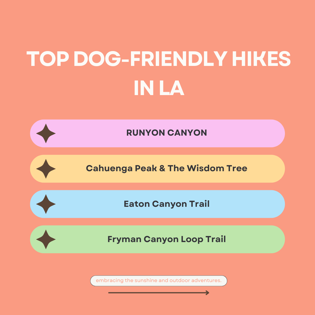 Top Dog-Friendly Hikes in Los Angeles with Miminko!