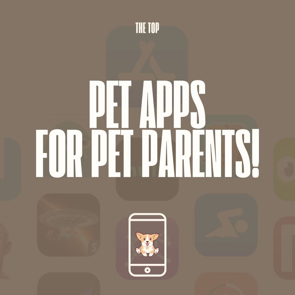 Pet Apps All Pet Parents Need!
