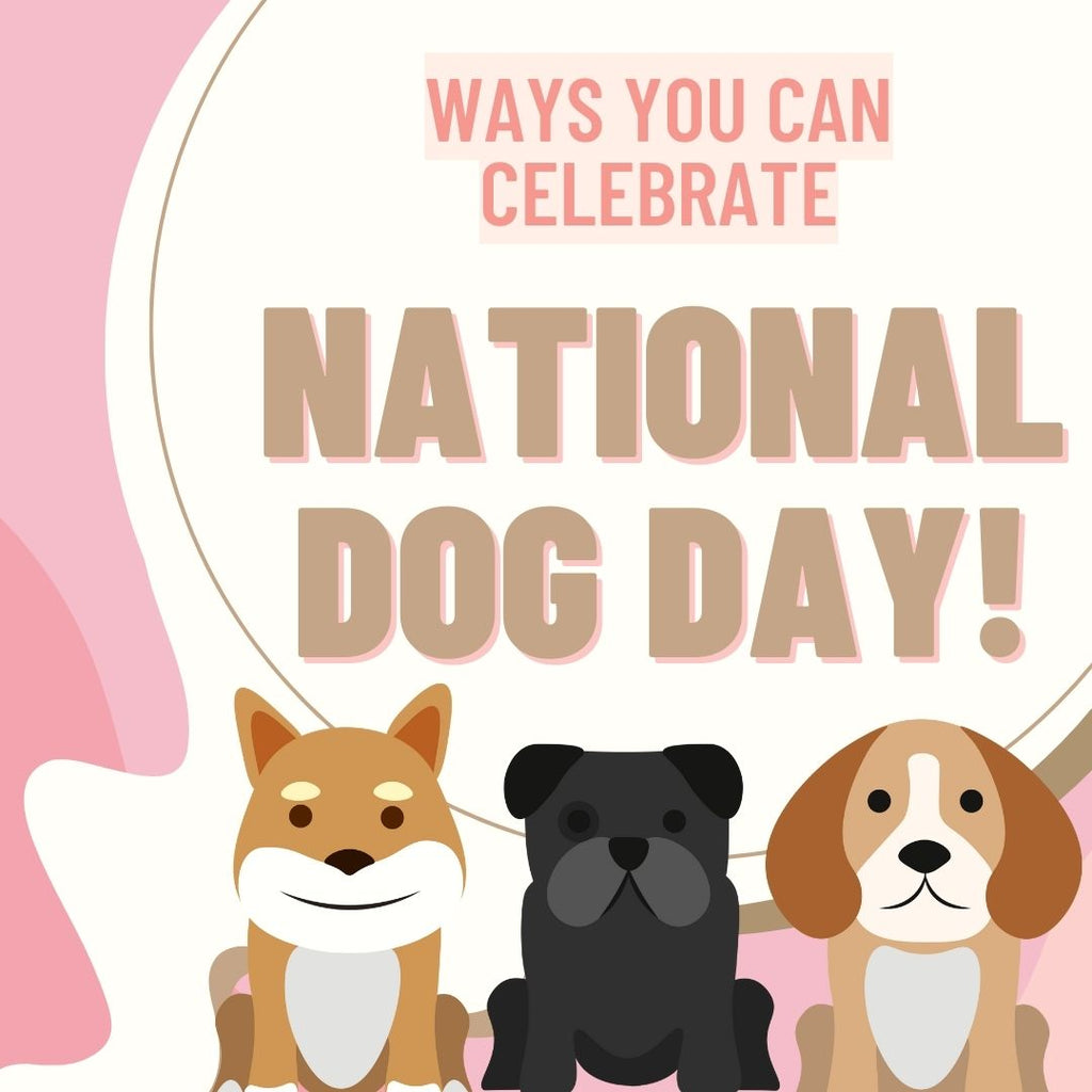 Ways You Celebrate National Dog Day!