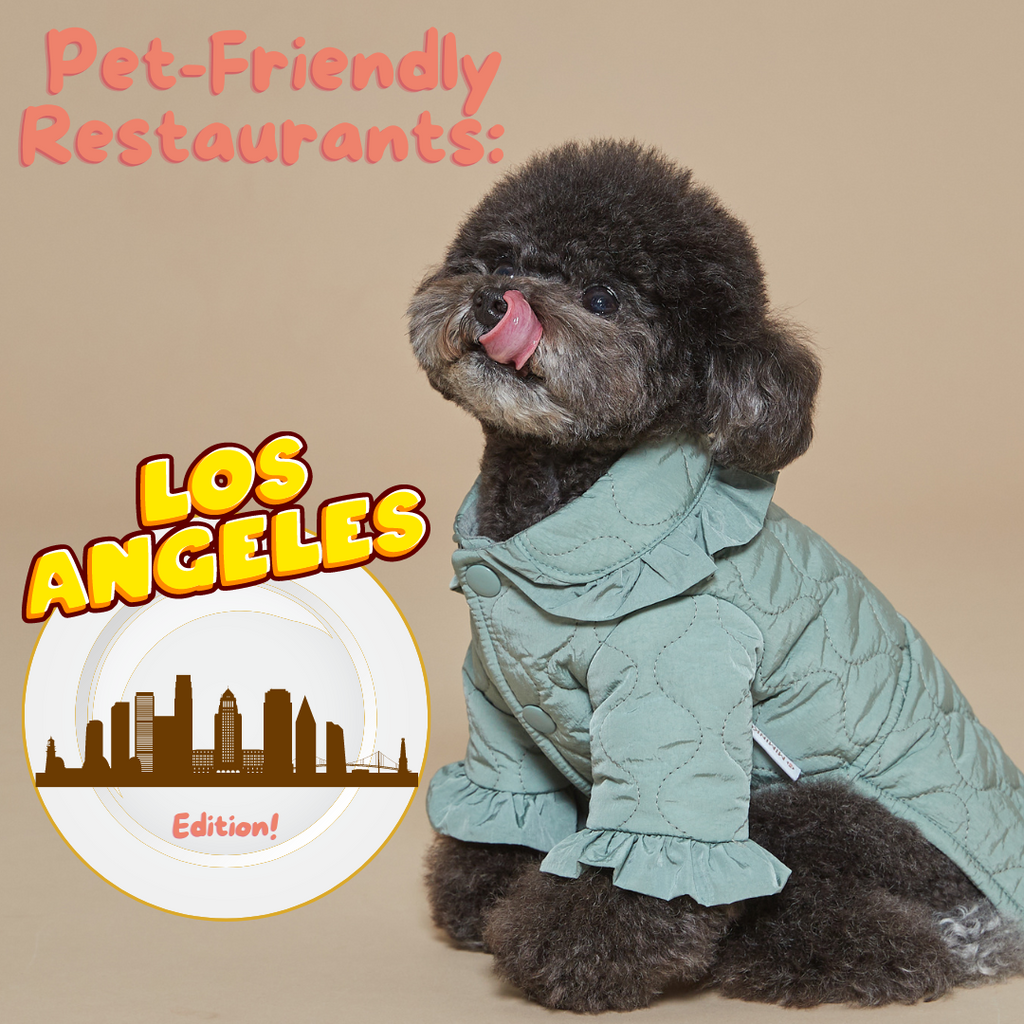 Pet Friendly Restaurants In LA!