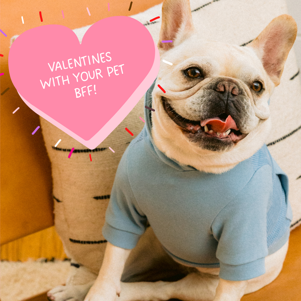 Valentines With Your Pup!
