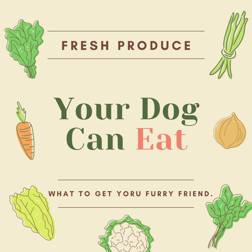 Seasonal Produce Your Pooch Would Love!