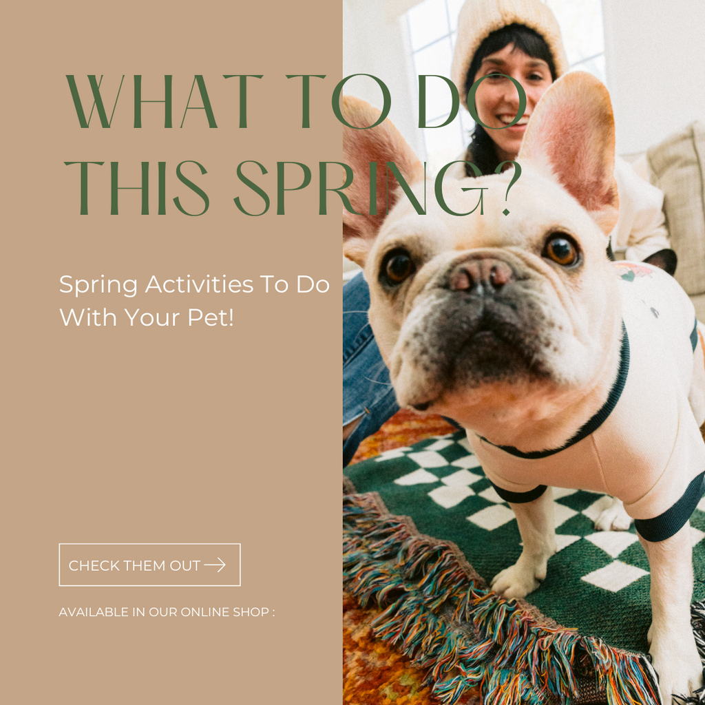 Spring Activities To Do With Your Pet!