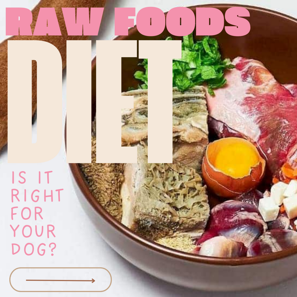 Is A Raw Diet Safe For Dogs?