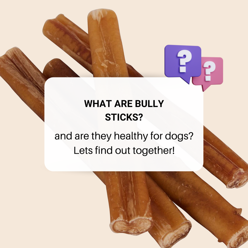 What Are Bully Sticks? & Are They Really Good For Dogs?