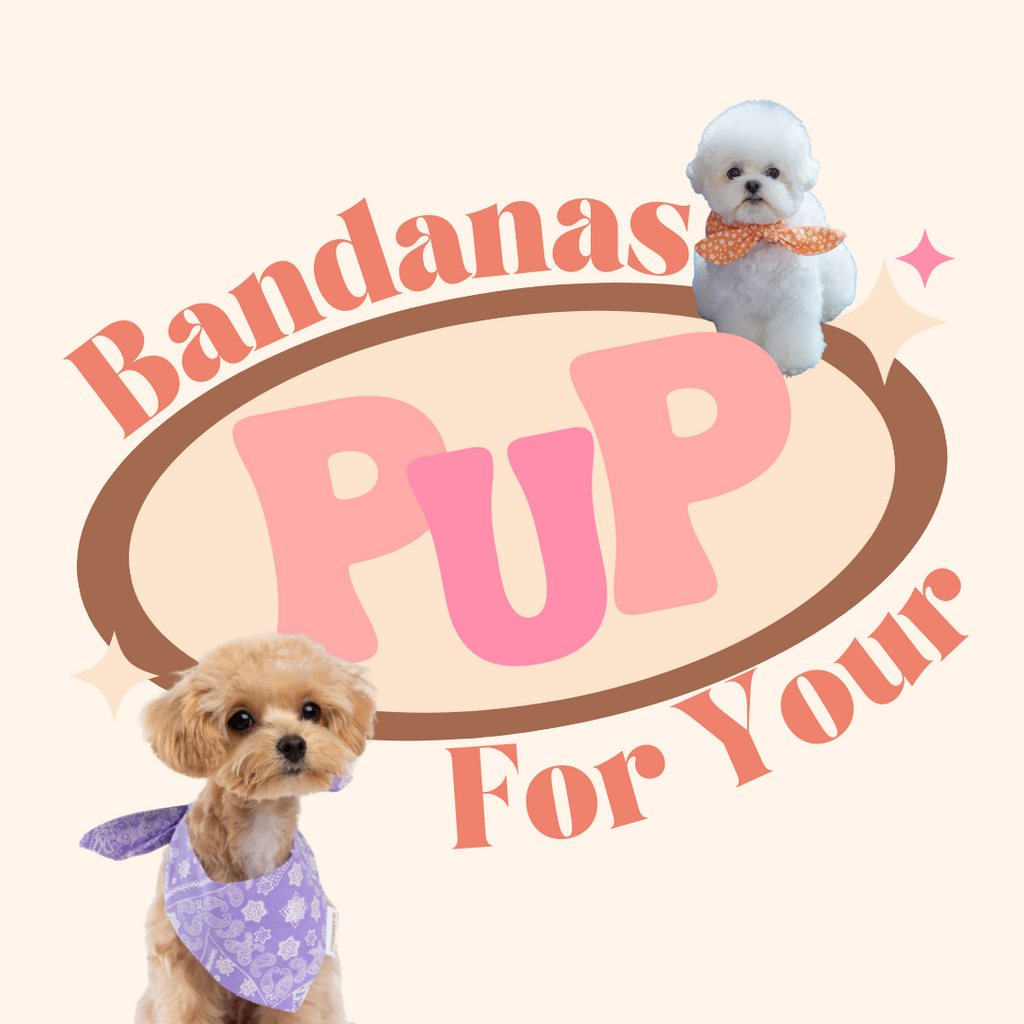 Bandanas For Your Pup!