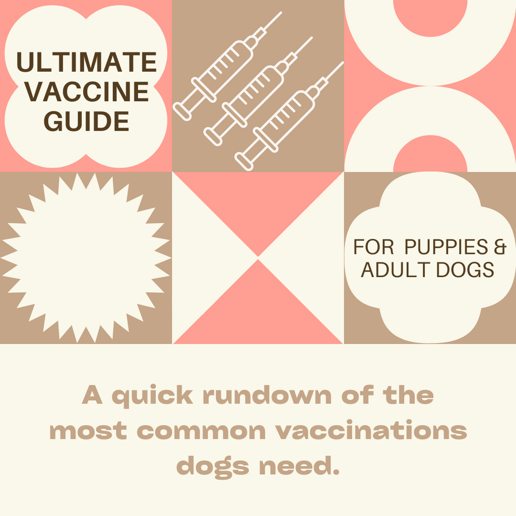 Ultimate Guide For Dog Vaccinations.