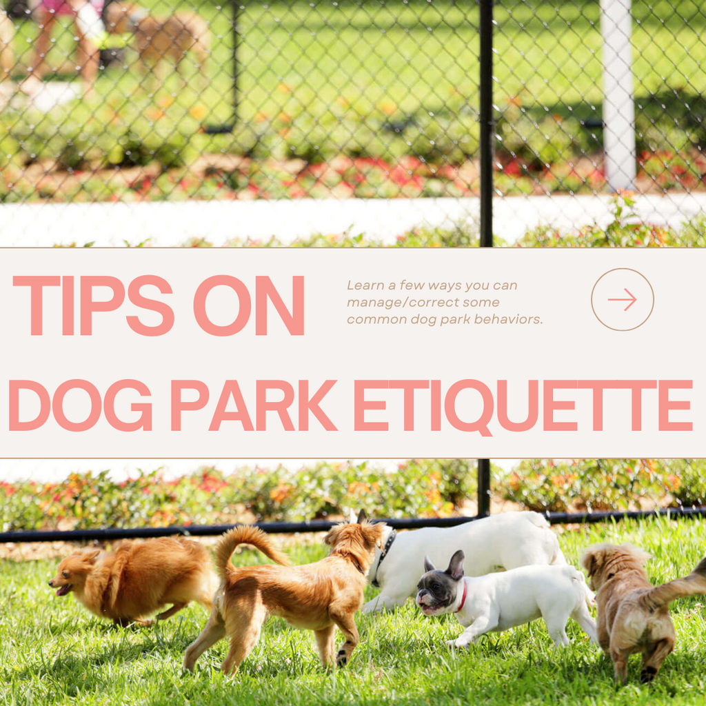 Tips For Dog Park Etiquette!