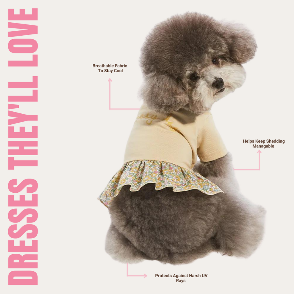 Dresses For Your Pup!