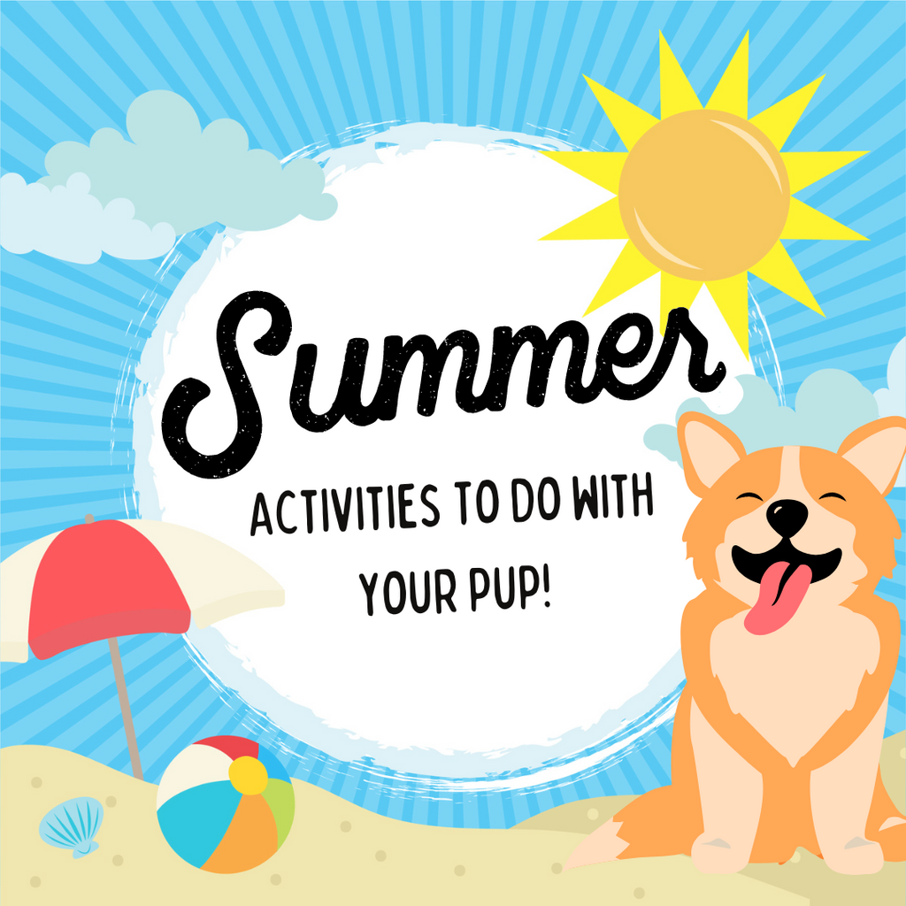 Summer Activities To Do With Your Pup!