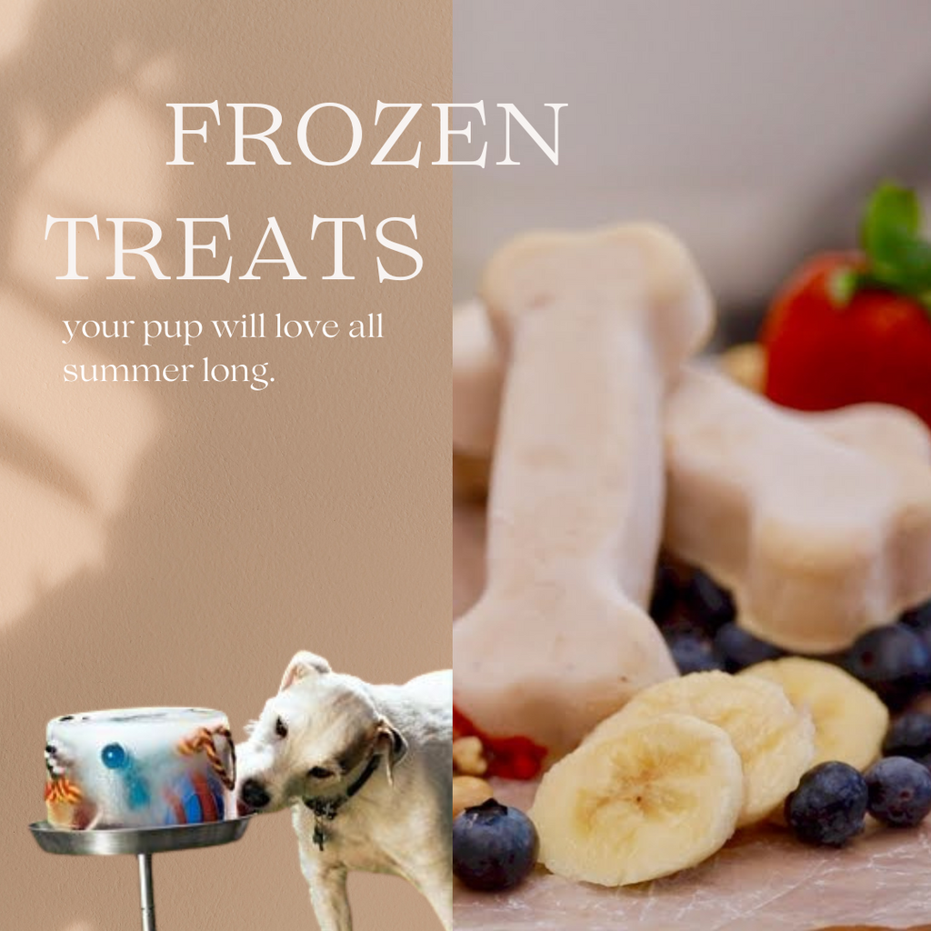 Frozen Treats For Your Pup This Summer