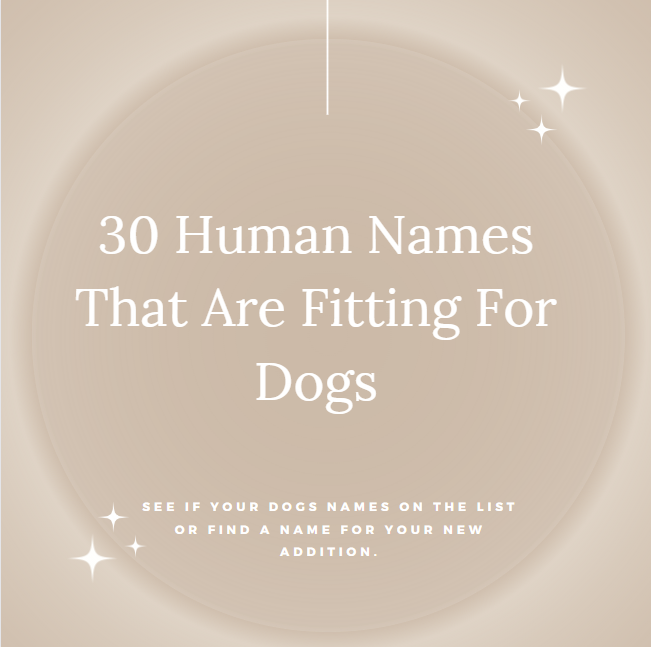 30 Human Names Perfect For Dogs