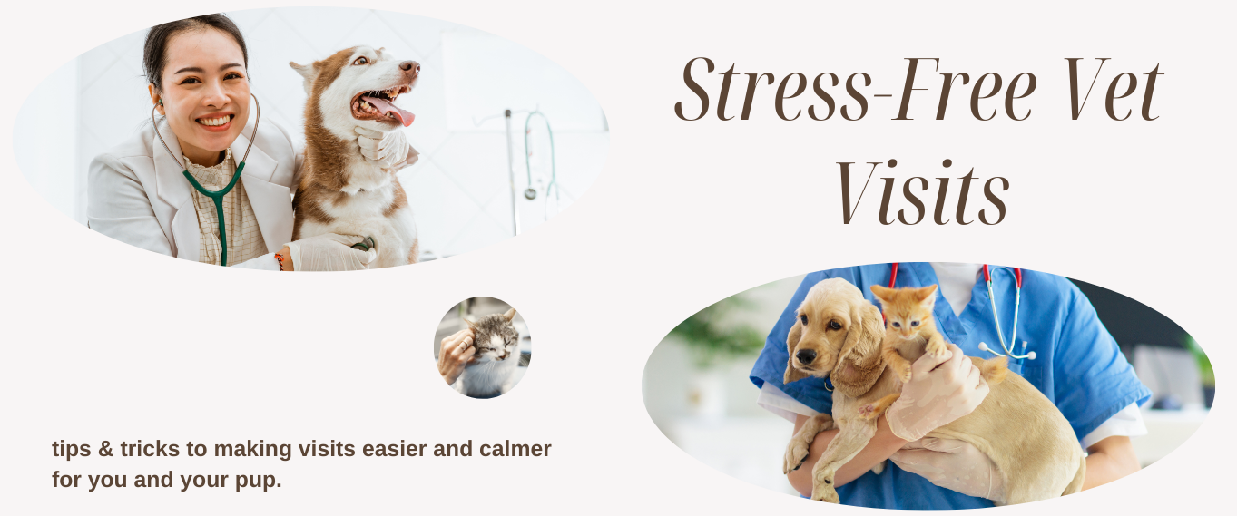 image of cats and dogs at the vet looking calm and happy. The text reads Stress free vet visits, tips and tricks on keeping your pets calm and ready for their next vet visit.