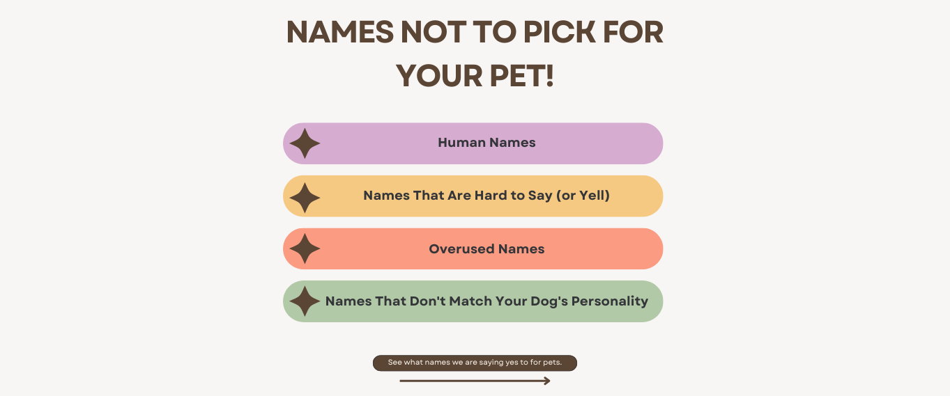 Miminko's Musings: Dog Names That Make Us Cringe (and What to Choose Instead!)