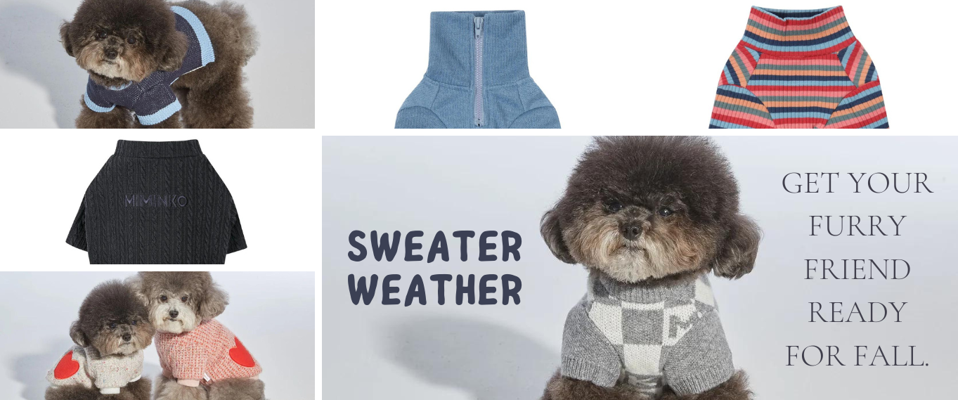 Sweater Weather is HERE: Get Your Furry Friend Ready for Fall with Miminko