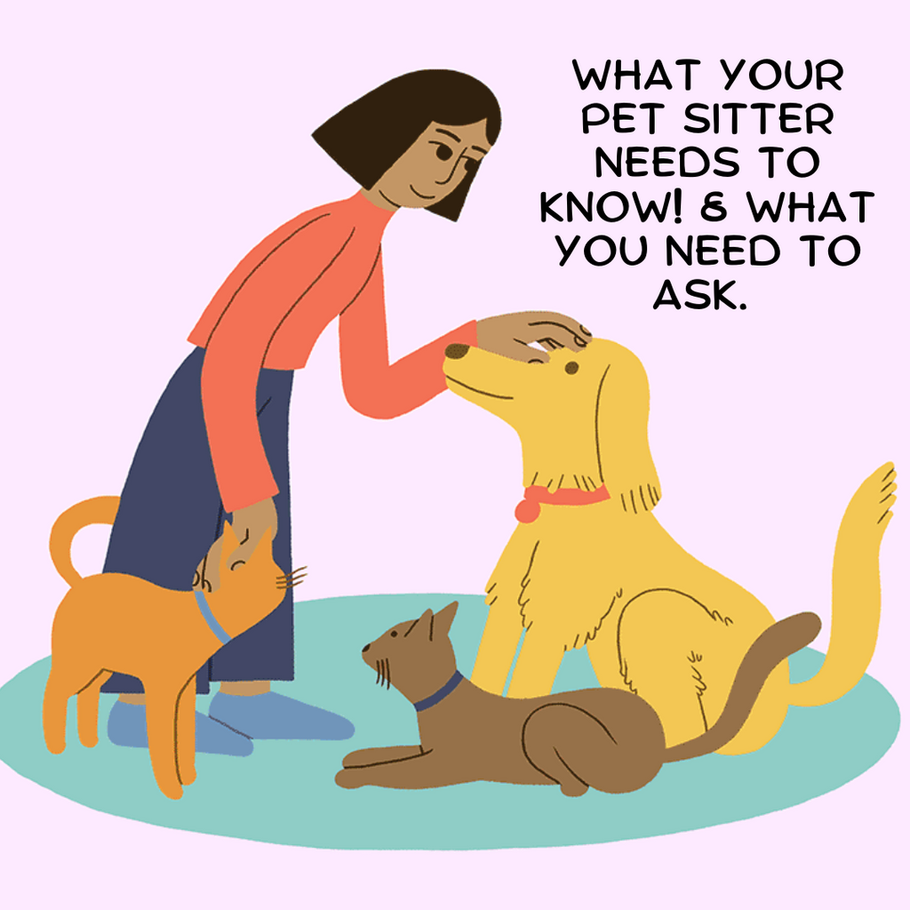 What To Let Your Dog Sitter Know About Your Pet.