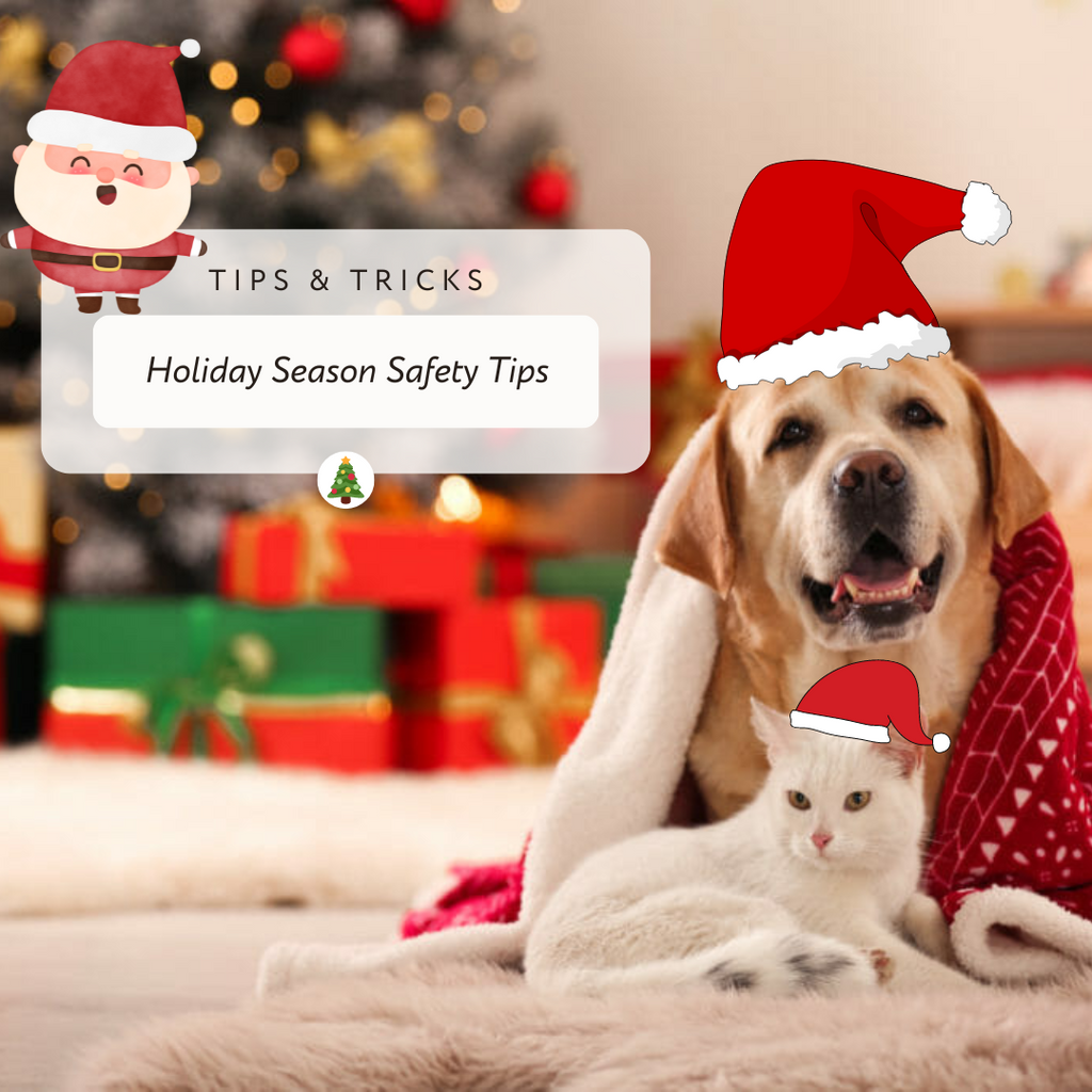 Holiday Season Pet Safety Tips.