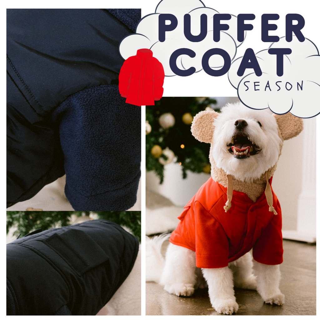 ITS THE SEASON FOR PUFFER COATS!