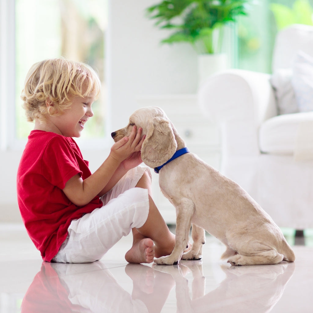 What Is A Good Dog For Families With Kids?