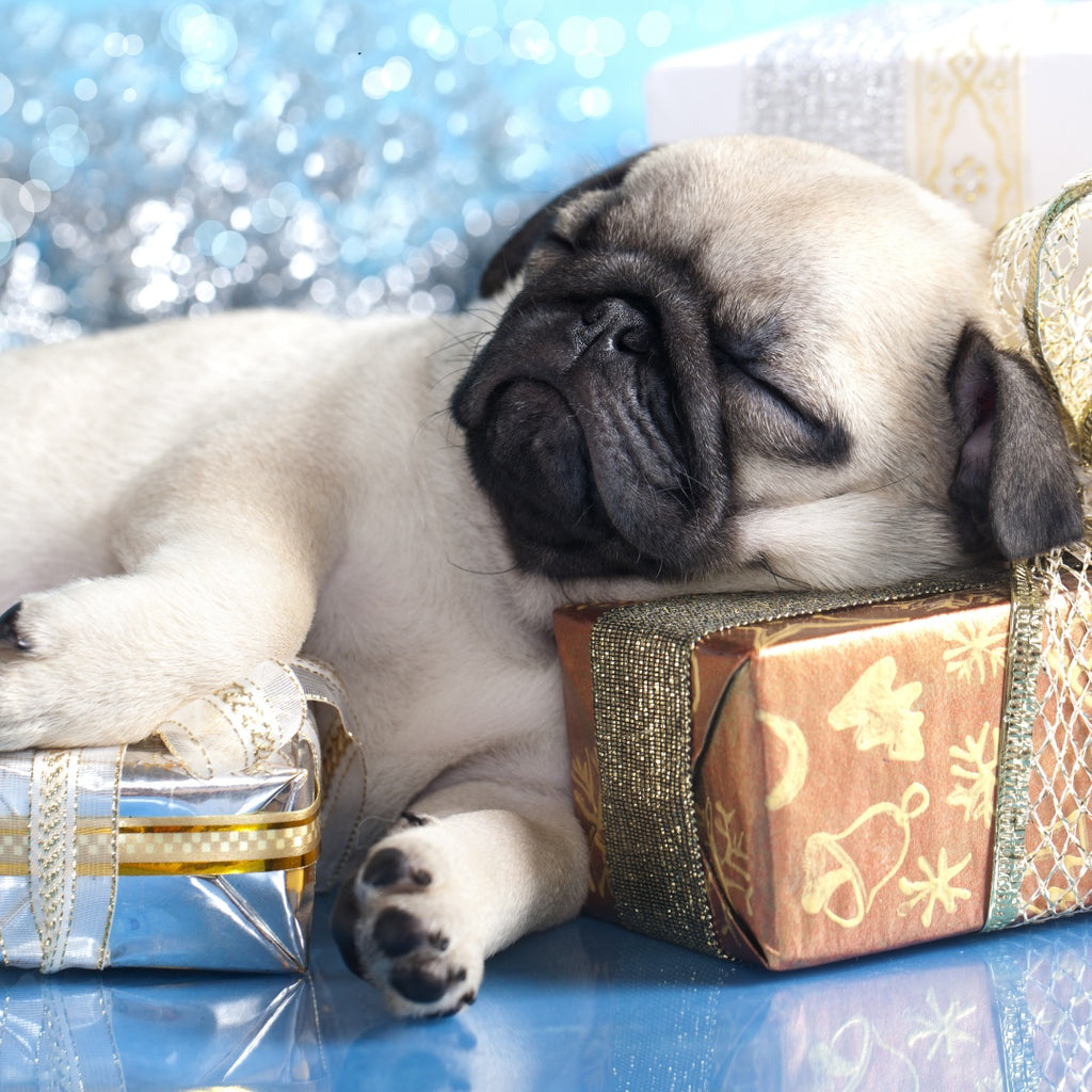What Is The Best Gift For Dog Lovers?