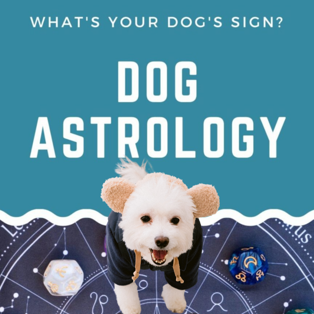 Horoscope Reading For Your Dog & what to buy based on it!
