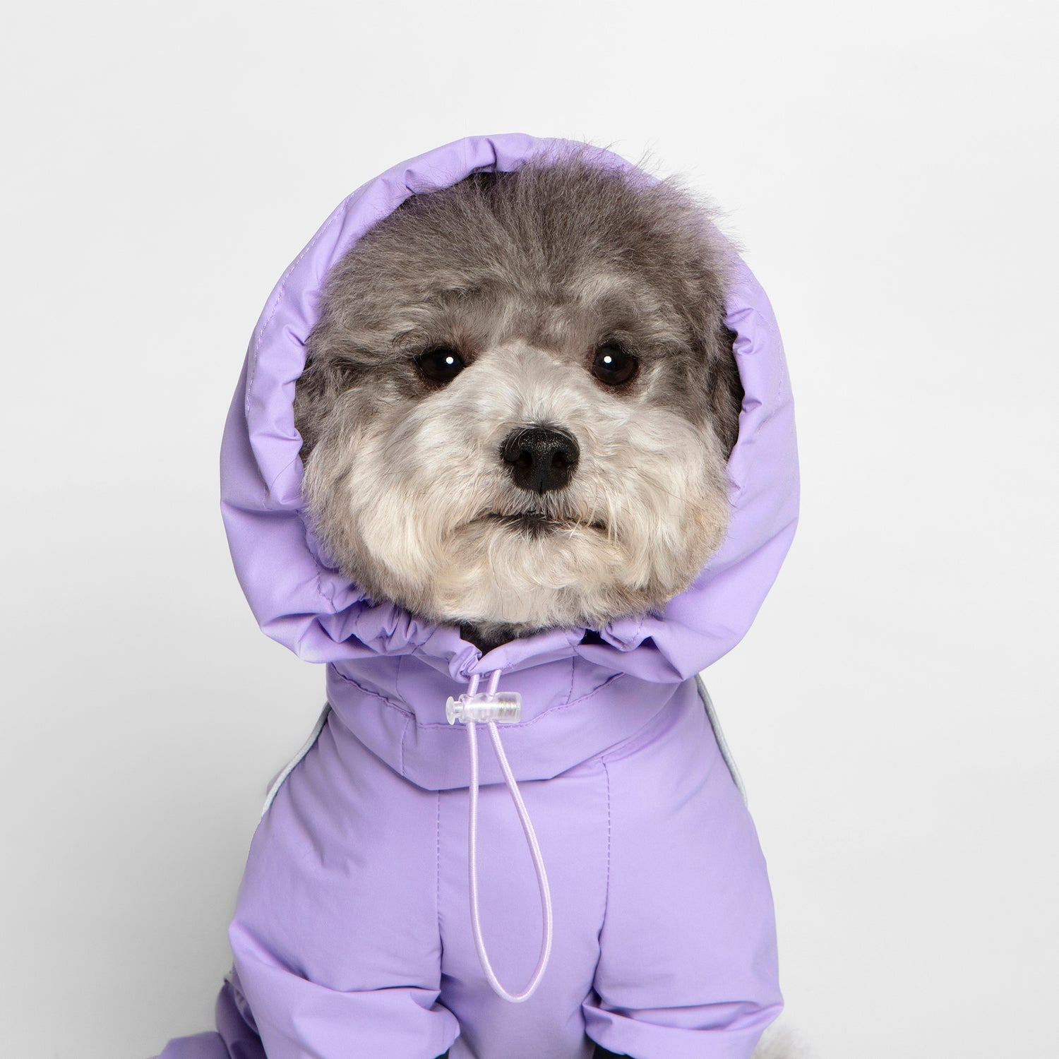 Storm Chaser Windbreaker Onesie - Purple