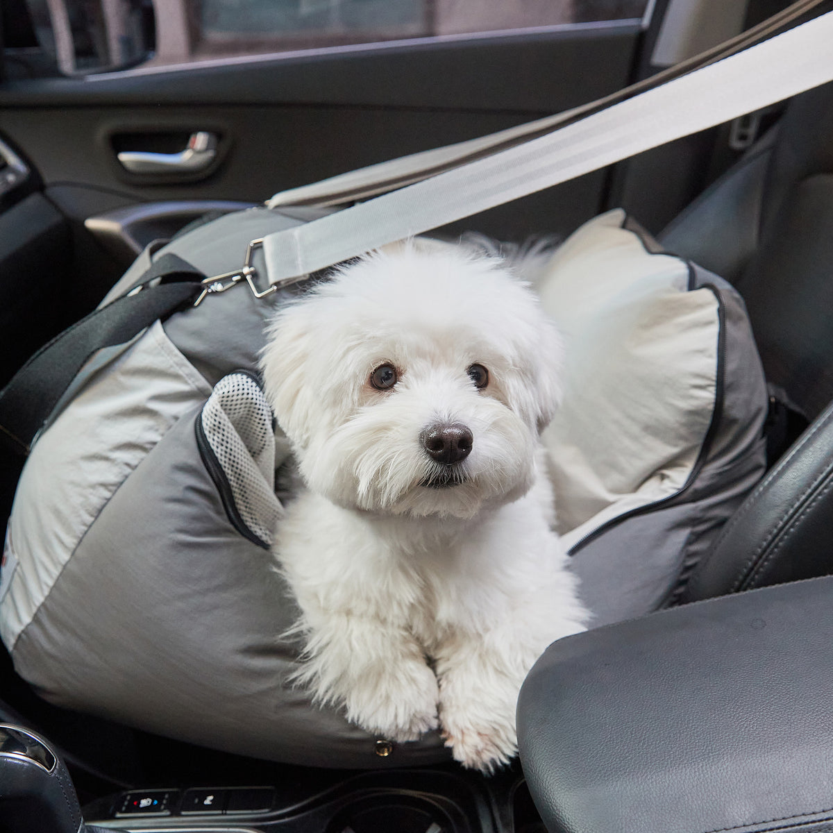 3-In-1 Pet Car Seat - Grey