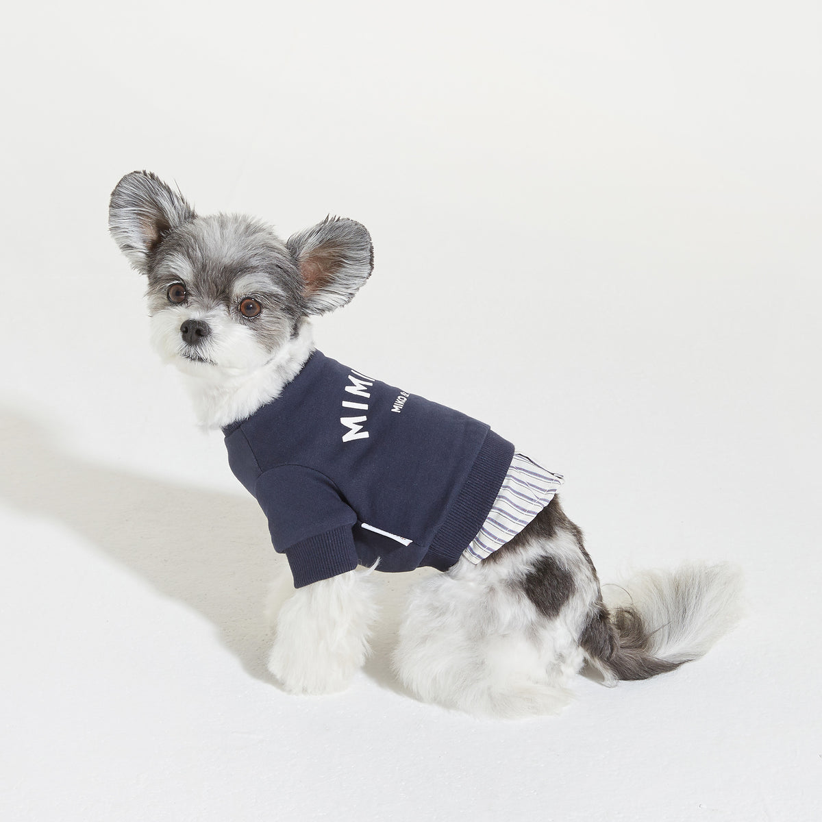 Back to School Pullover - Navy