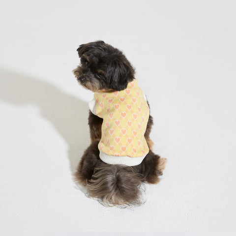 Certified Lover Sweater Vest - Yellow
