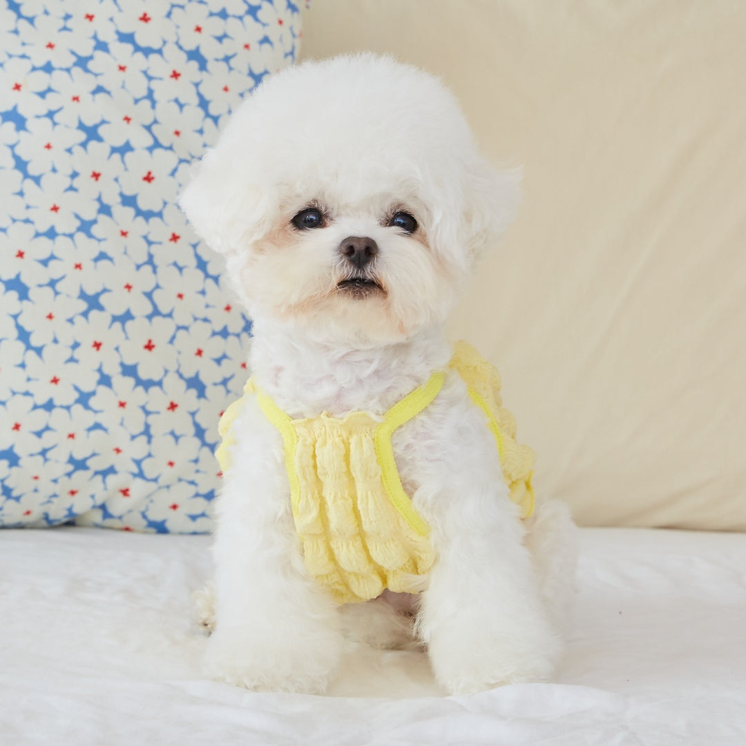 Daisy Scrunch Bubble Tank Top - Yellow