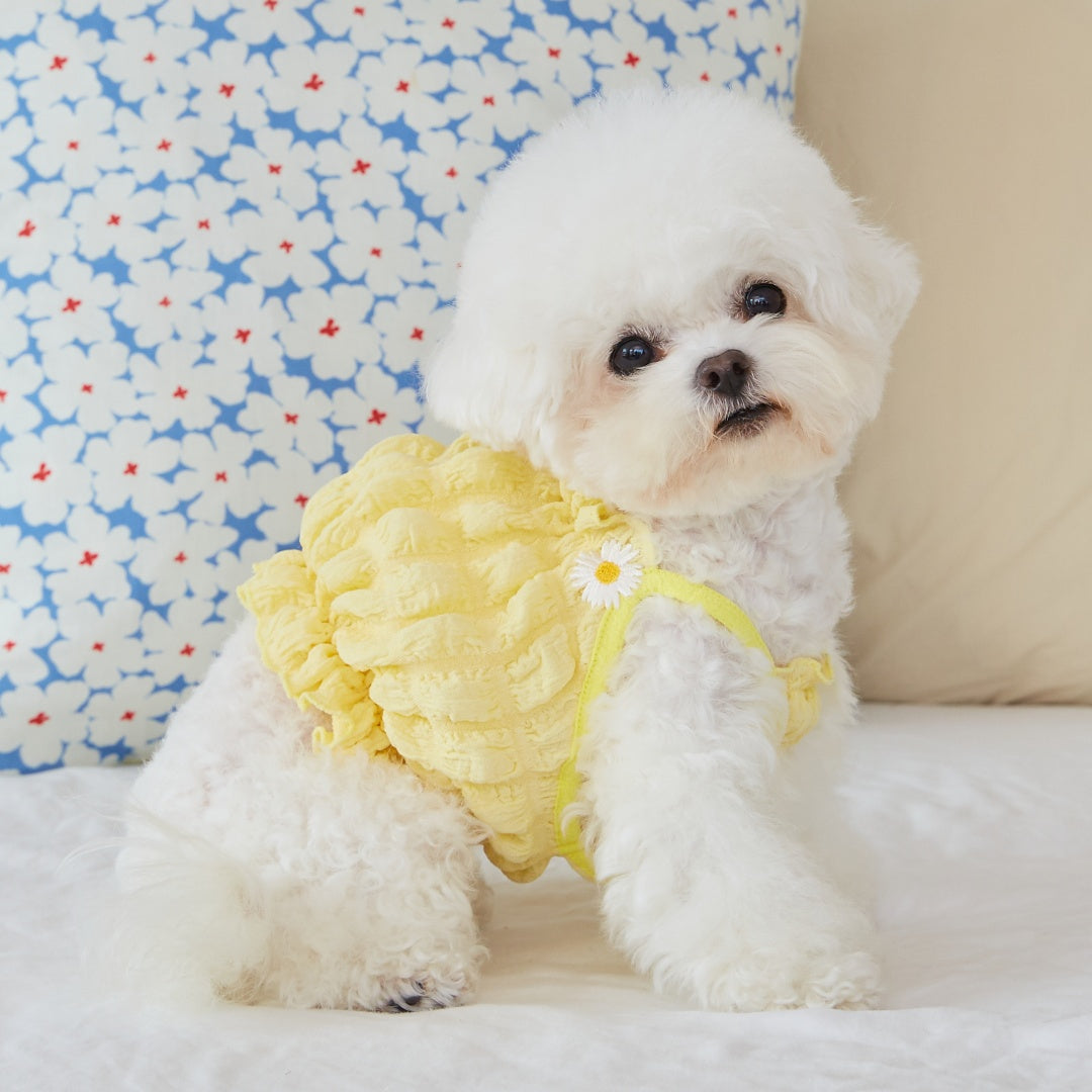 Daisy Scrunch Bubble Tank Top - Yellow