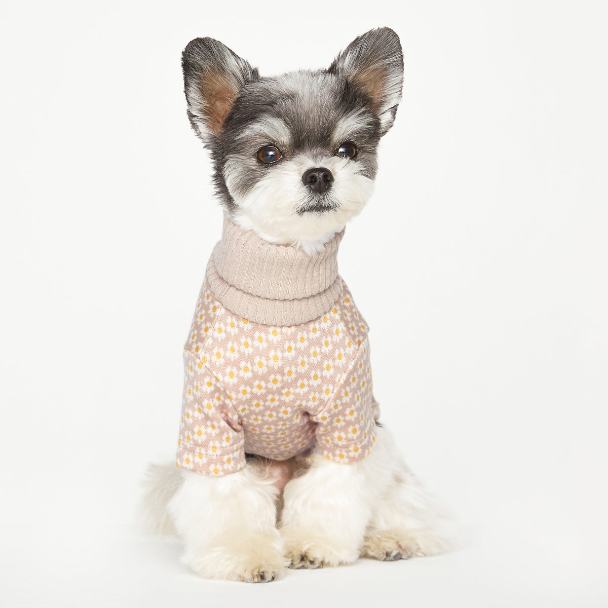 Flower Pattern Knit Sweater - Beige