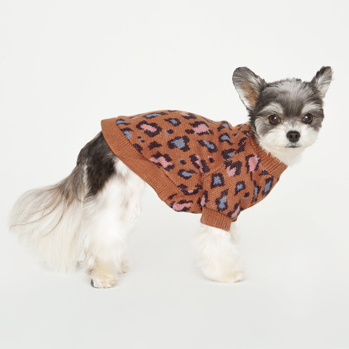 Leopard Pattern Knit Sweater - Brown